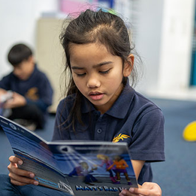 SELDC _0006_Layer 5 SELDC